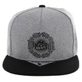 ILLUMINATI PRINTED SNAPBACK