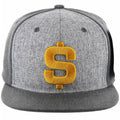 $ SIGN GOLD EMBROIDERY DETAILING FLAT SNAPBACK CAP